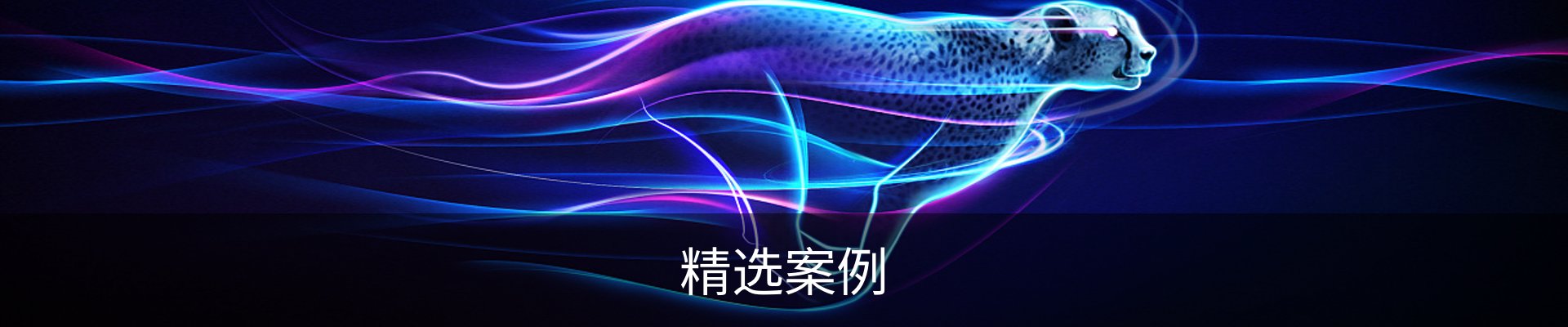 精选案例